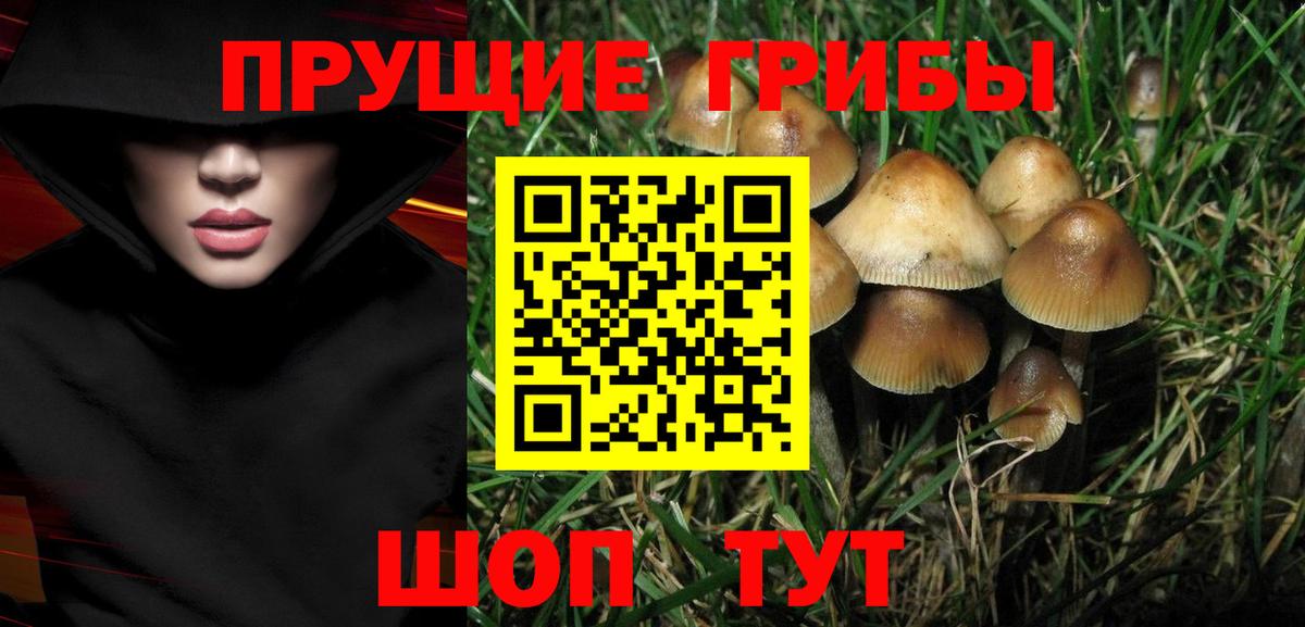 Псилоцибиновые грибы мухоморы Калининград
