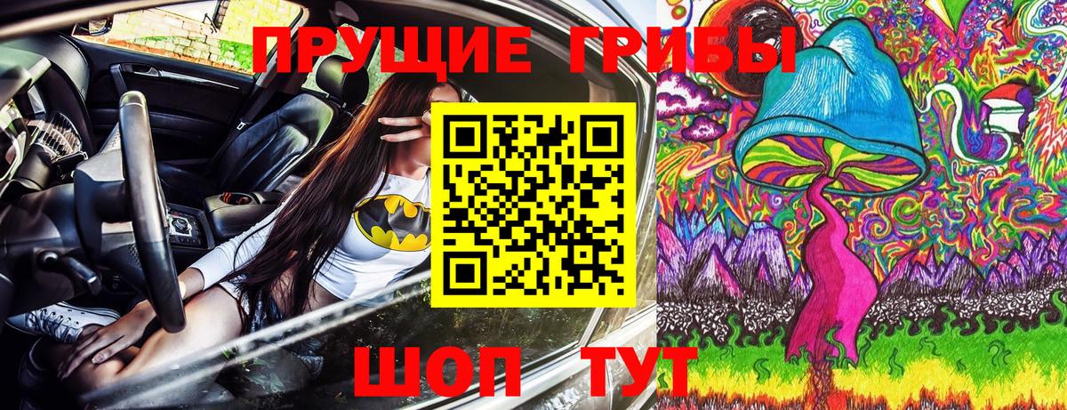 Калининград  Галлюциногенные грибы Cubensis  Вход с VPN 